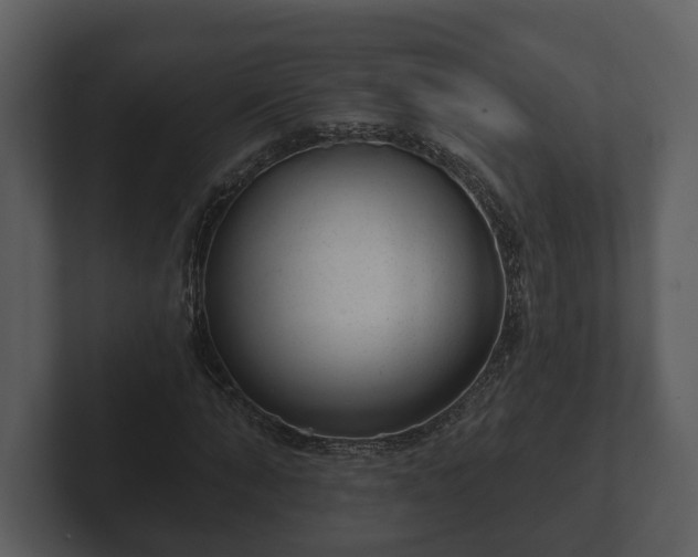 X0000103150870200808291428