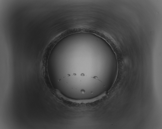 X0000103150872200808291428