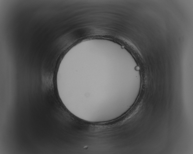 X0000103150873200808291428