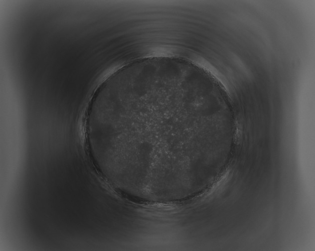 X0000103150874200808291428