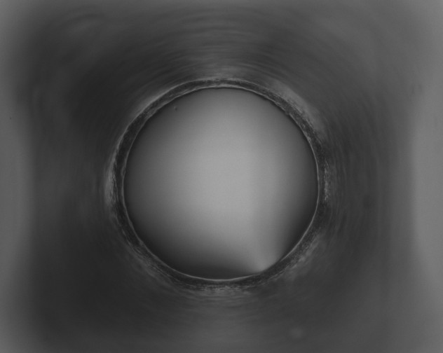 X0000103150876200808291428