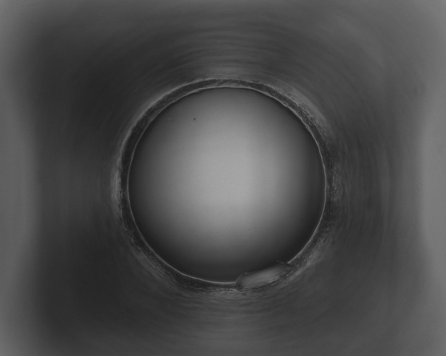 X0000103150880200808291428