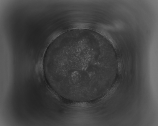 X0000103150882200808291428