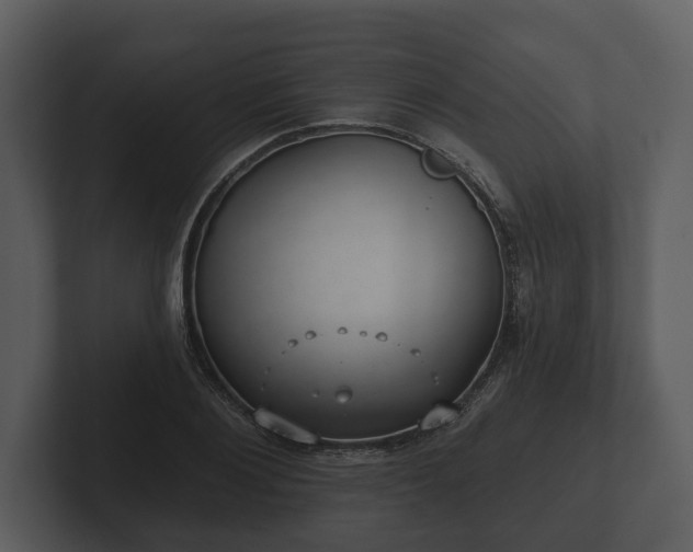 X0000103150884200808291428