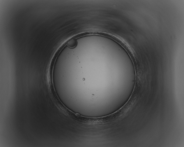 X0000103150887200808291428