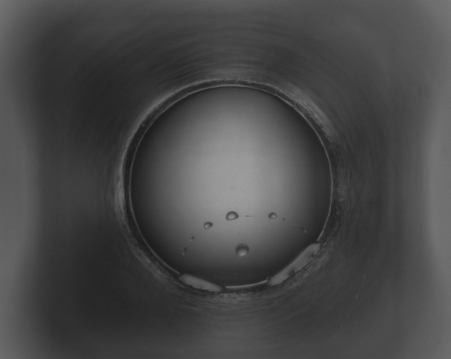 X0000103150888200808291428