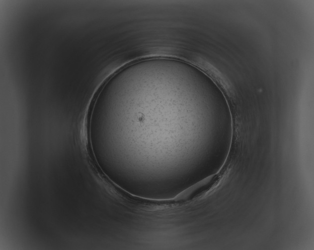 X0000103150892200808291427