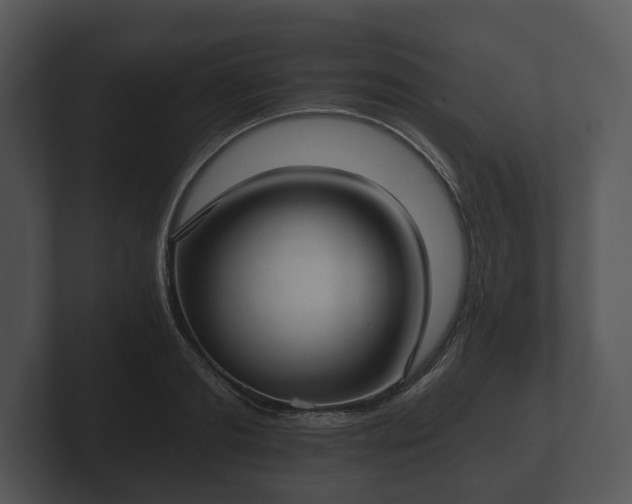 X0000103150893200808291427