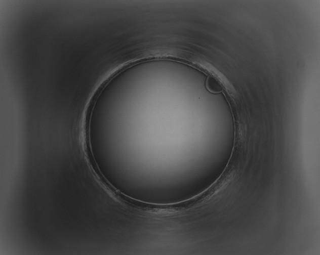 X0000103150894200808291427