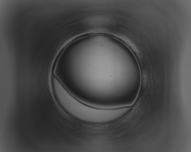 X0000103150895200808291427