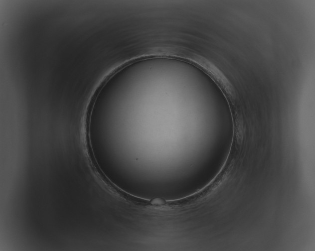 X0000103150896200808291427