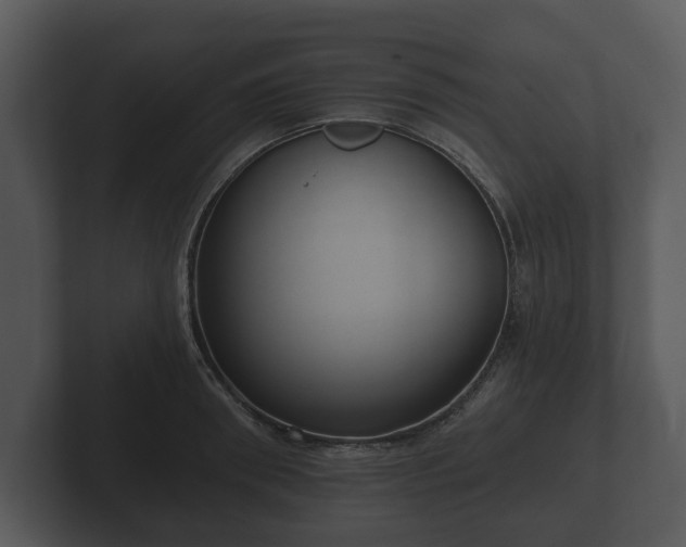 X0000103150898200808291427