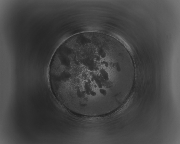 X0000103150899200808291427