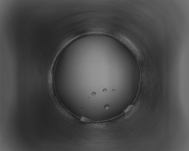 X0000103150900200808291427