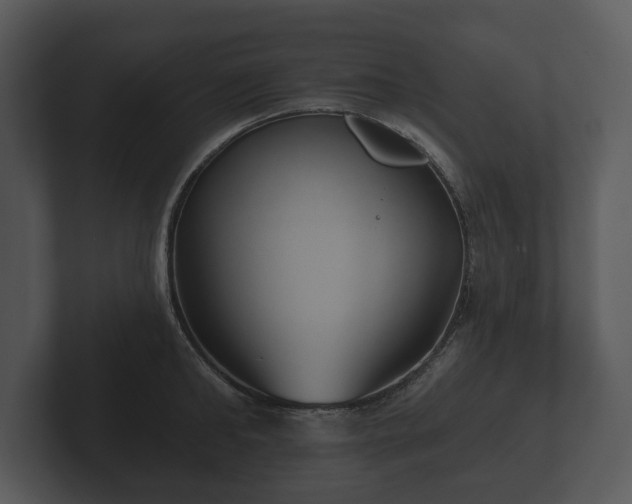 X0000103150902200808291427