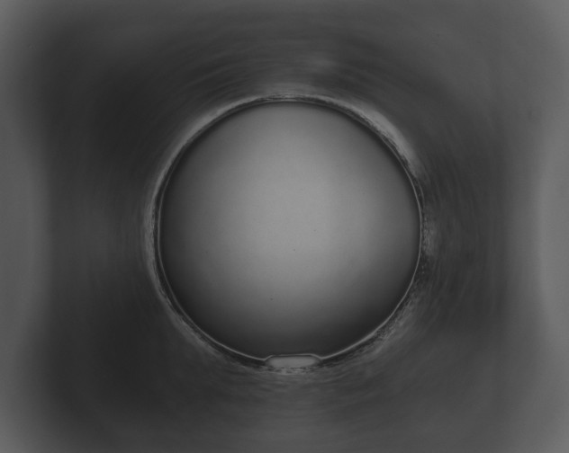 X0000103150903200808291427