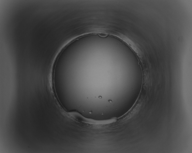 X0000103150904200808291427