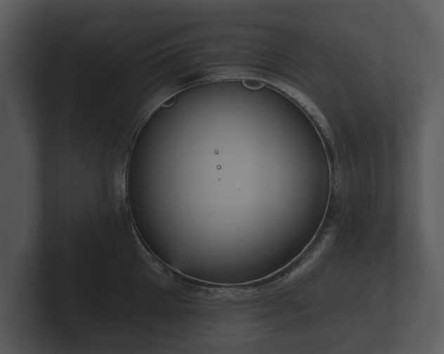 X0000103150905200808291427