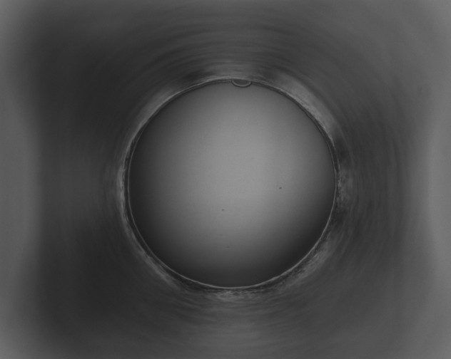 X0000103150906200808291427