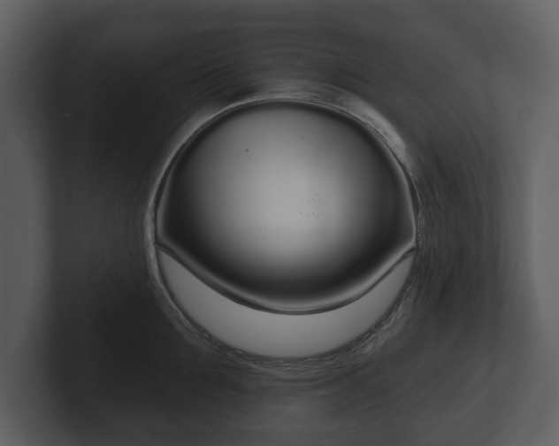 X0000103150907200808291427