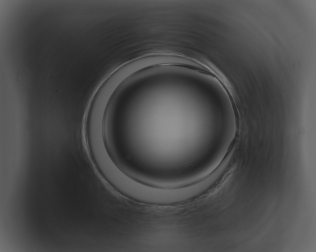 X0000103150909200808291427