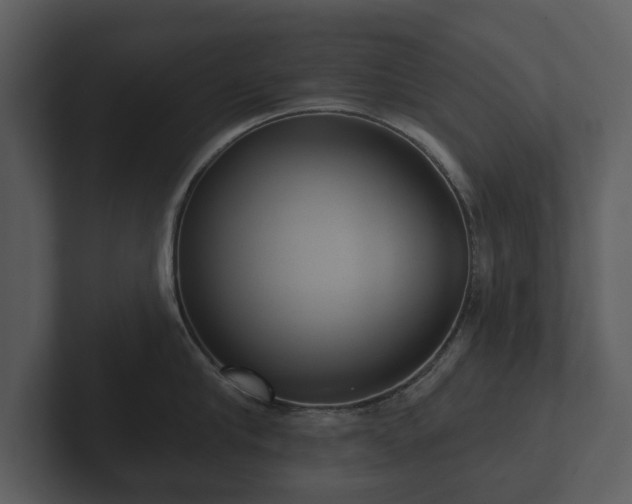 X0000103150910200808291427