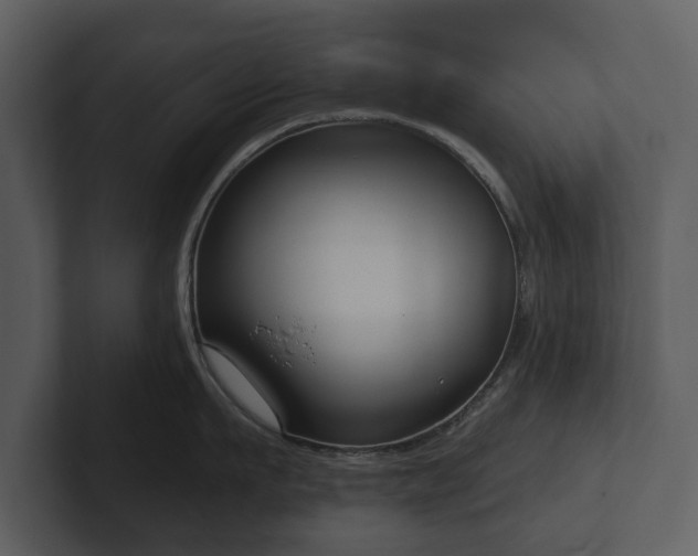 X0000103150911200808291427