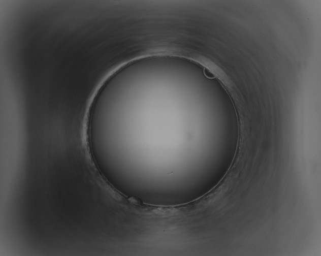 X0000103150912200808291427