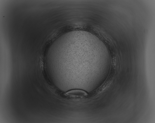 X0000103150916200808291427