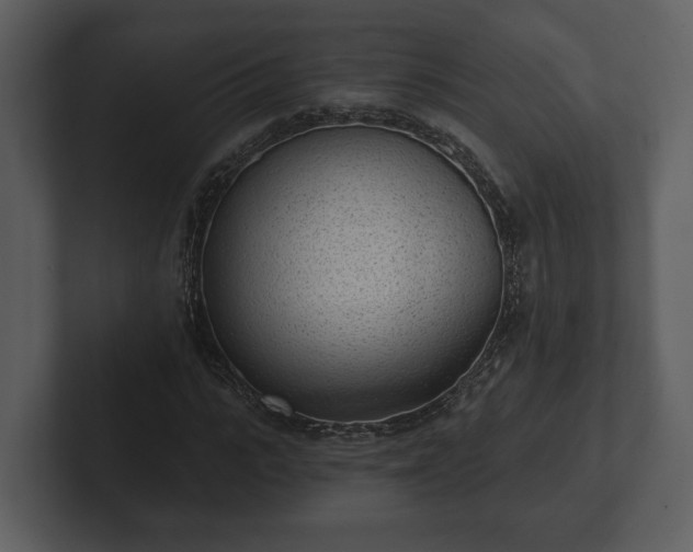 X0000103150919200808291427