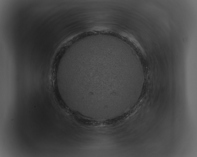 X0000103150920200808291427