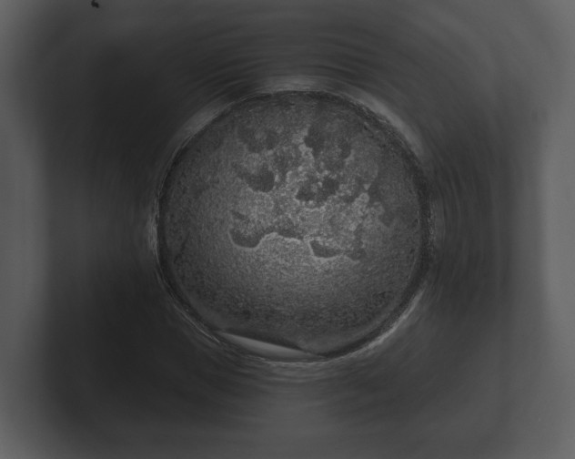 X0000103150921200808291427