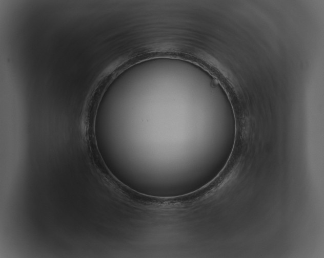 X0000103150922200808291427