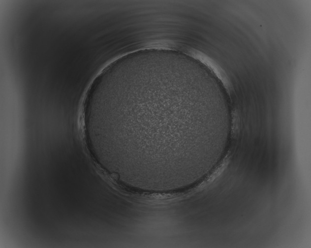 X0000103150923200808291427