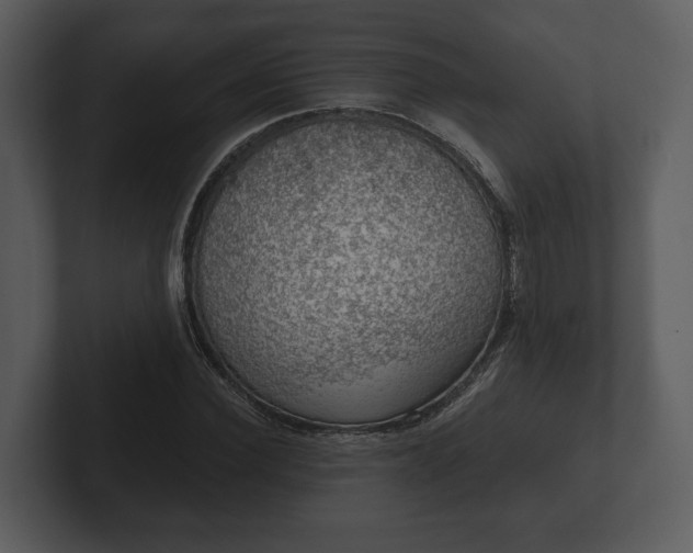 X0000103150924200808291427