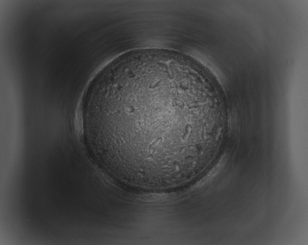 X0000103150925200808291427