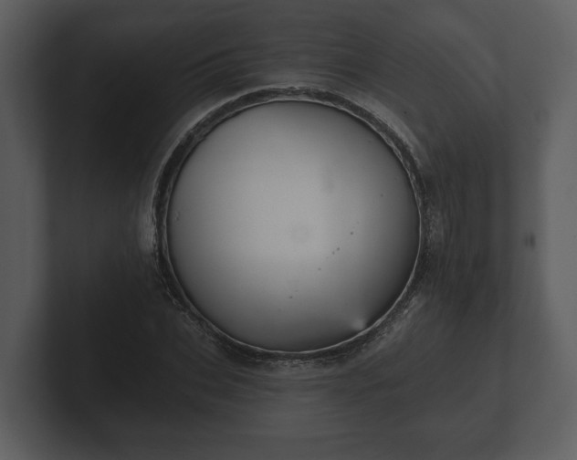 X0000103150927200808291427