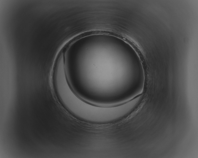 X0000103150928200808291427