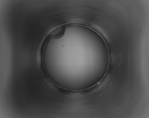 X0000103150931200808291427