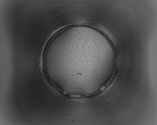 X0000103150932200808291427