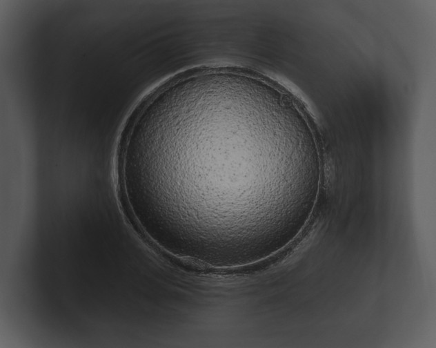 X0000103150935200808291427