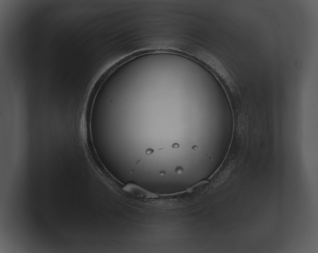 X0000103150936200808291427