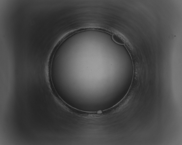 X0000103150942200808291427