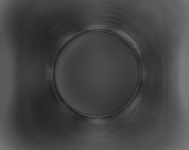 X0000103150945200808291427