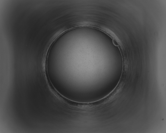 X0000103150946200808291427