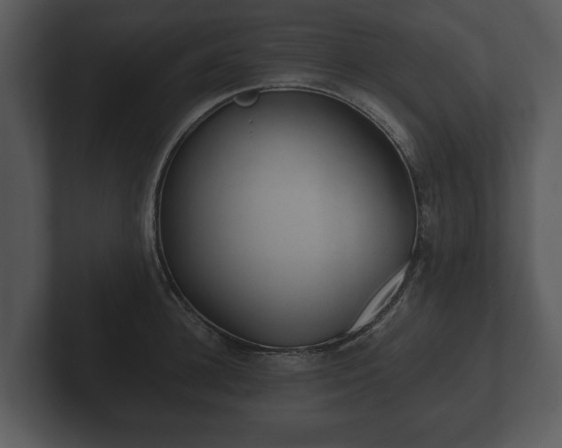 X0000103150948200808291427