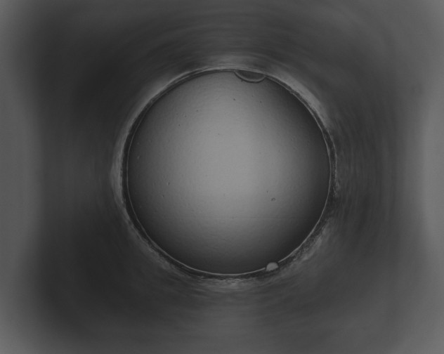 X0000103150949200808291427