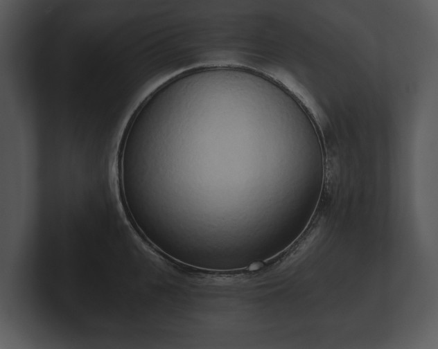 X0000103150951200808291427