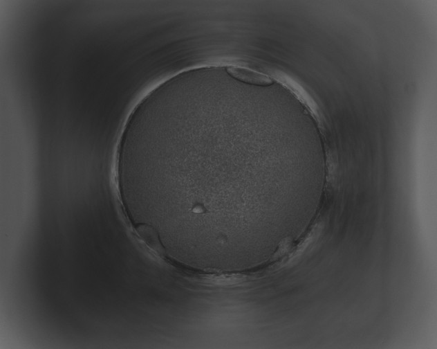 X0000103150952200808291427