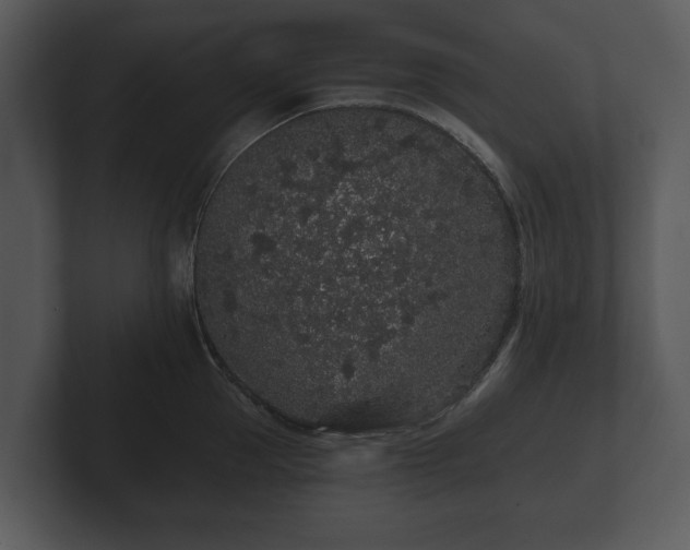 X0000103150953200808291427